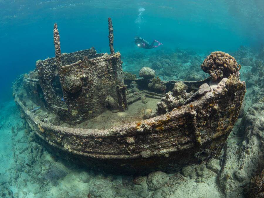 Entdecken Sie die Unterwasserwelt: Tauchen oder schnorcheln und unsere einzigartigen Meeresbewohner treffen.