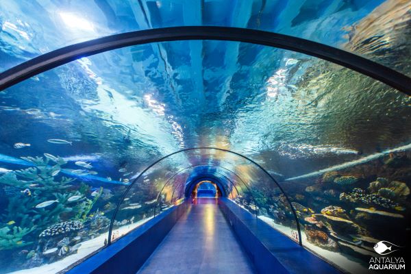 Aquariumstunnel im Aquarium Antalya.