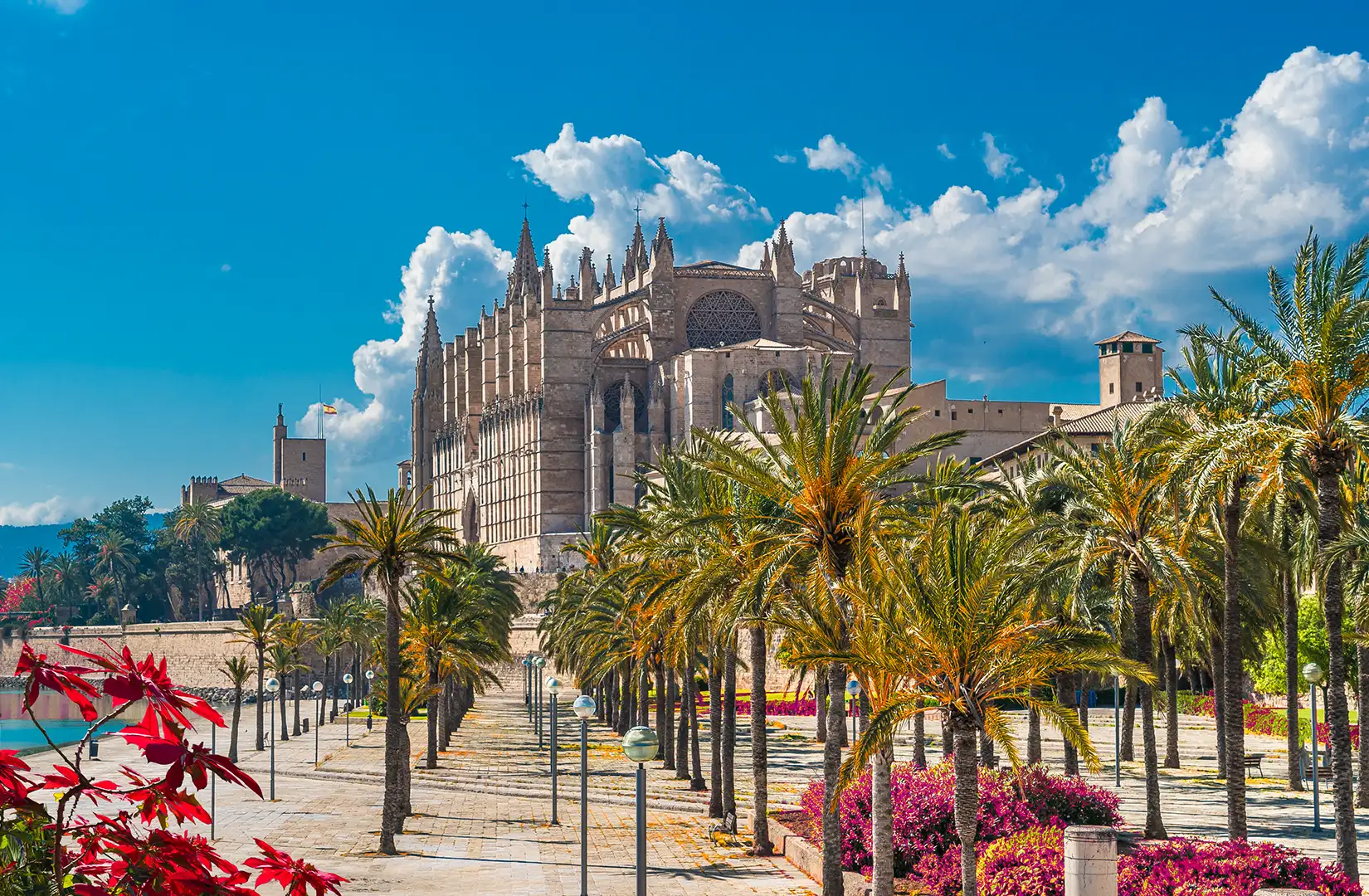 Blick auf die Kathedrale La Seu, ein Meisterwerk gotischer Architektur.